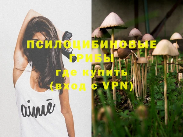прущая мука Бородино