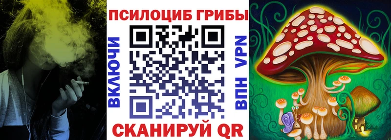 Купить закладки  Зубцов  Галлюциногенные грибы Magic Shrooms 